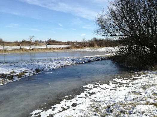 De Panne in de sneeuw (België)